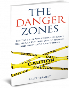 Business Danger Zones Ebook