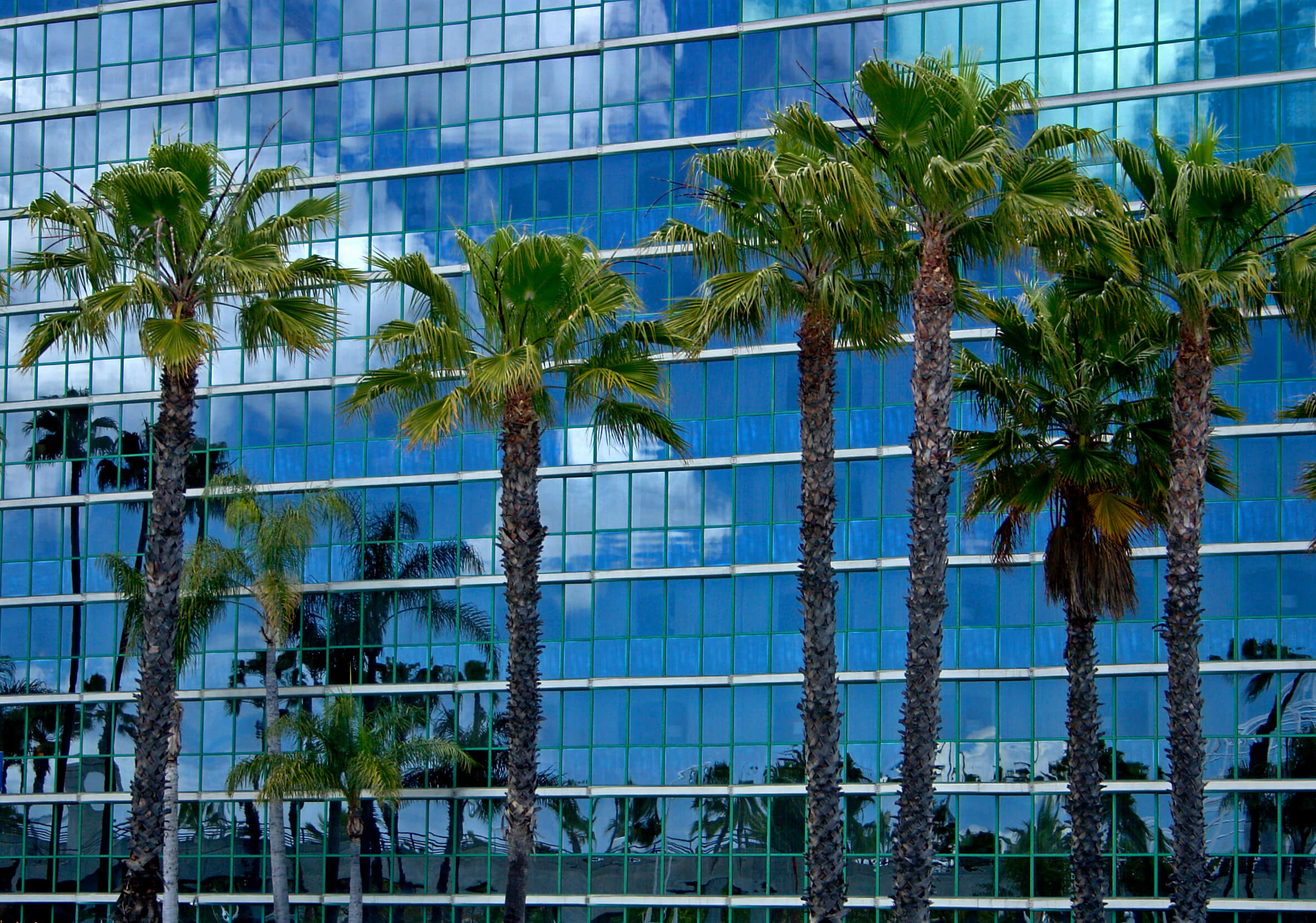 Boca Raton Business Law Attorney